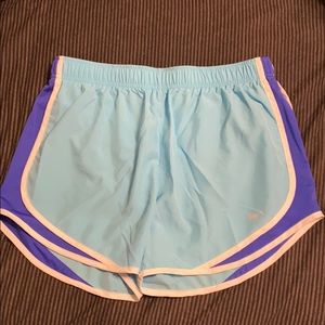 L Nike Shorts, NWOT